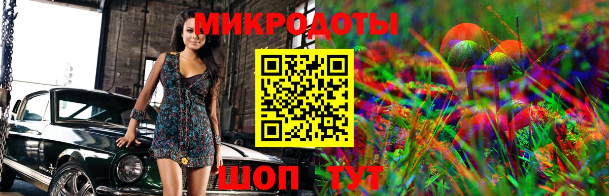 Псилоцибиновые грибы GOLDEN TEACHER Шумерля